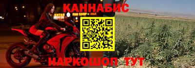 винт Гатчина
